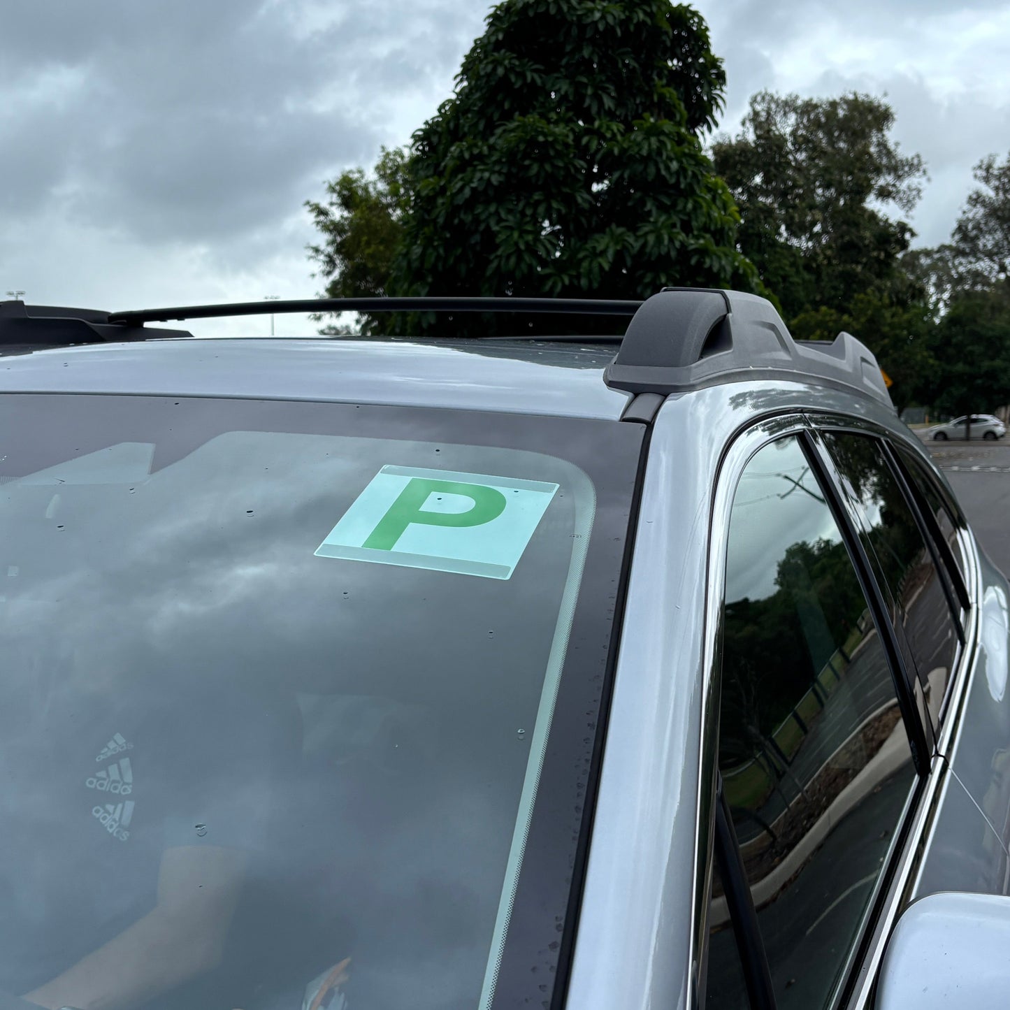 Green P Plates