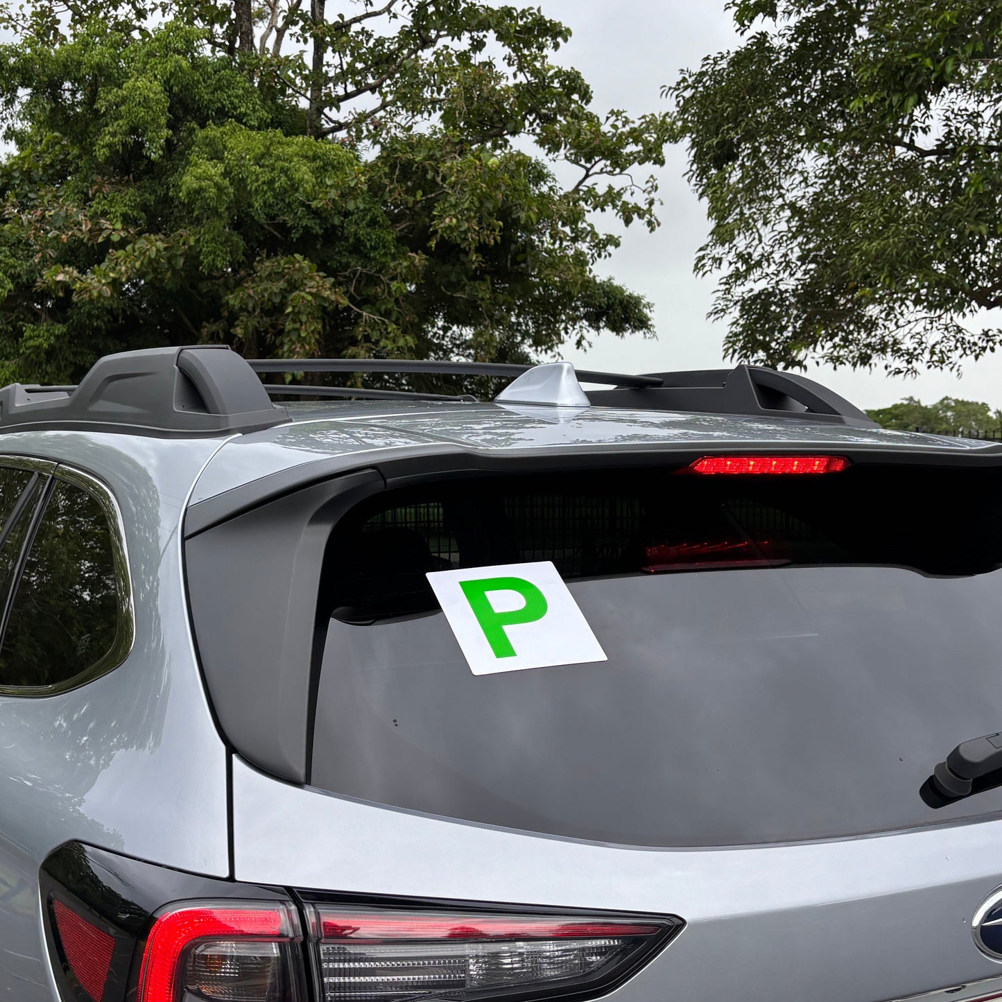 Green P Plates